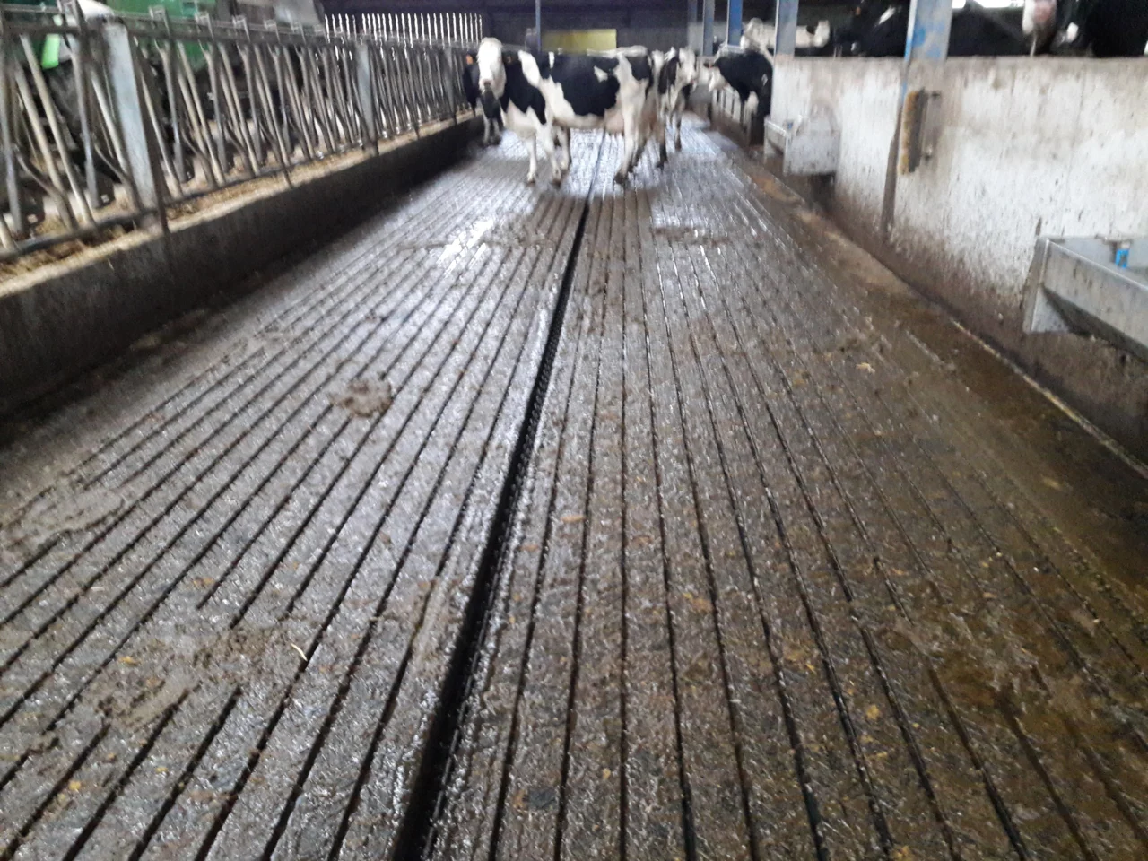 Tapis couloir raclage