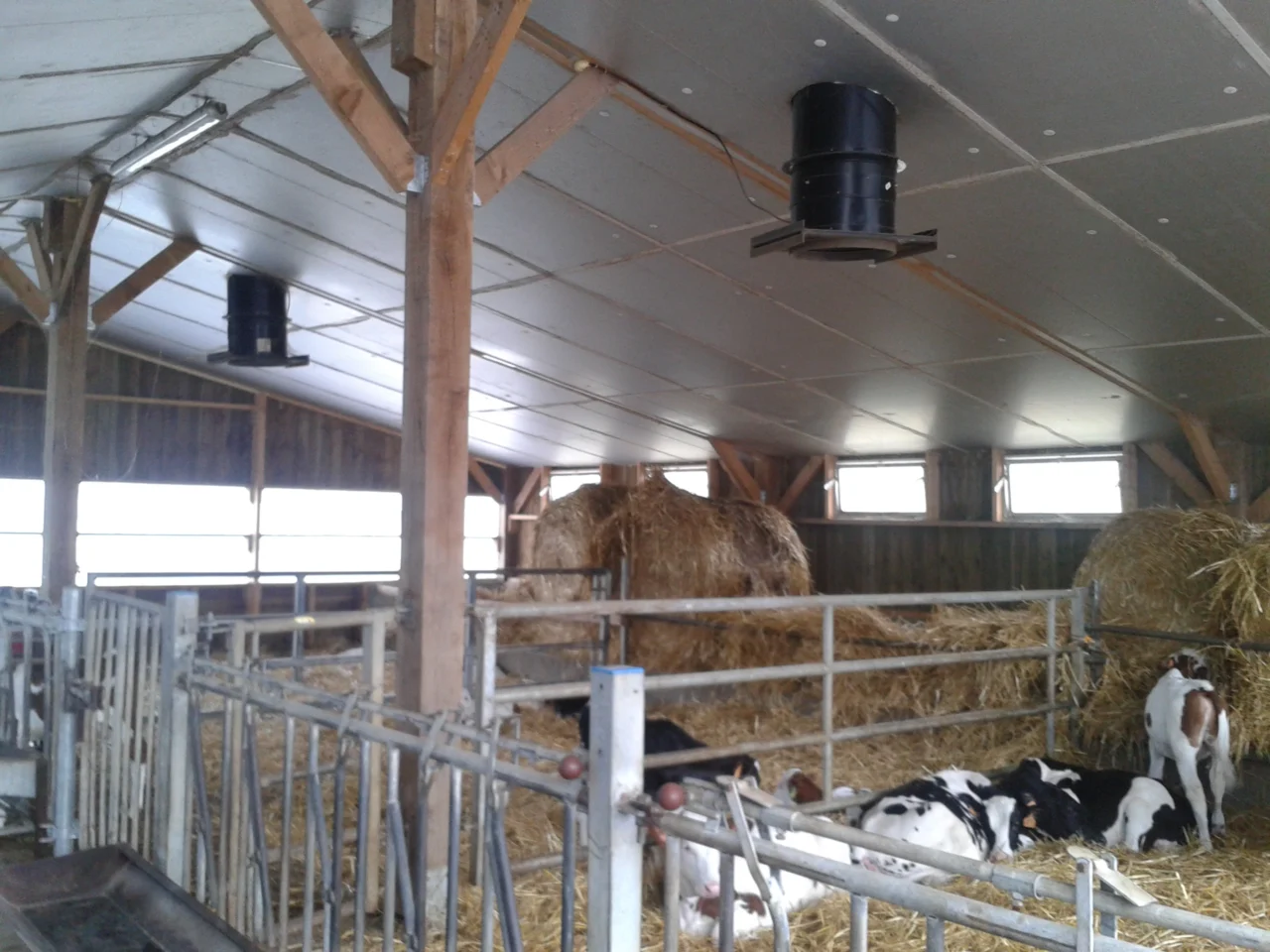 Aménagement intérieur veau de boucherie
