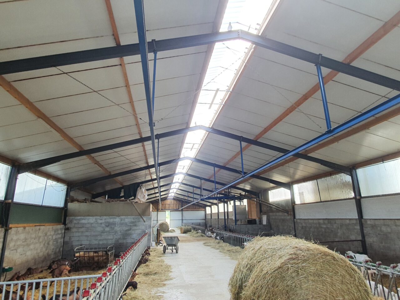 Dôme ventilé éclairant