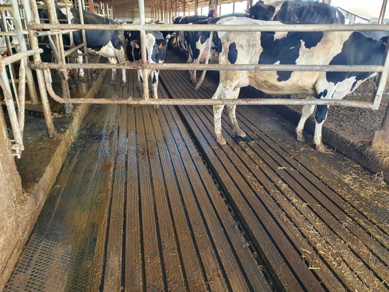 Tapis couloir raclage