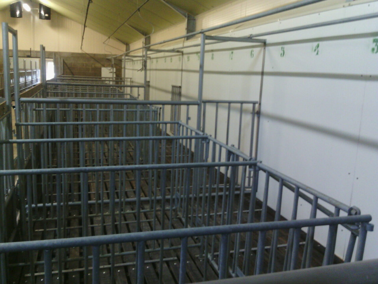 Aménagement intérieur veau de boucherie